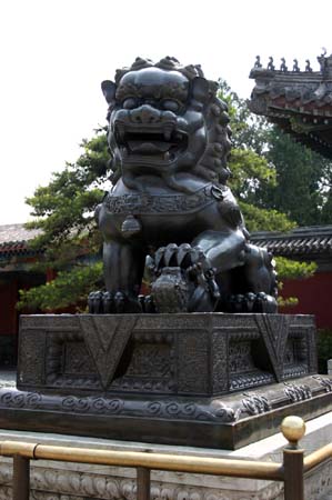 China0053