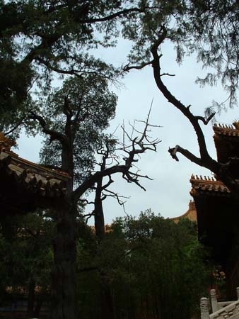 China0241