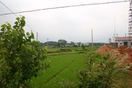 China0338