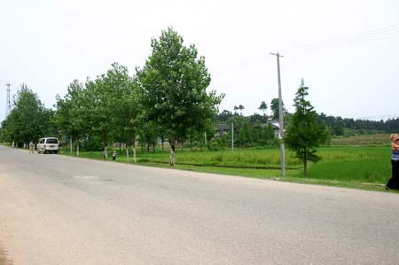 China0343
