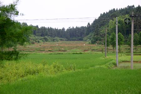 China0351