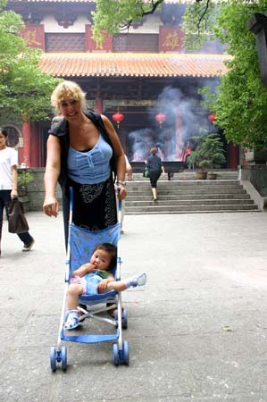 China0393