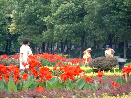 China0426