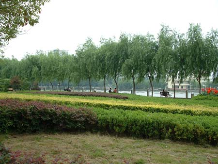 China0430