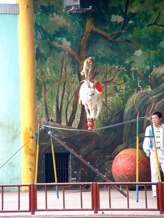 China0514