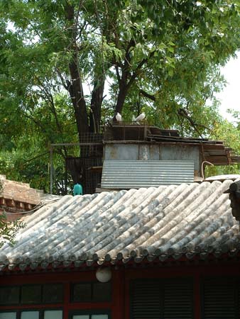 China0622
