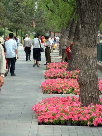 China0637