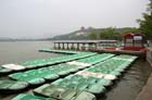 China0095