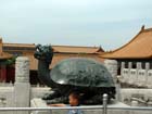 China0202