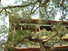 China0253