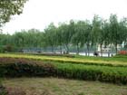 China0430