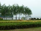China0431