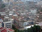 China0446