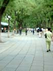 China0628