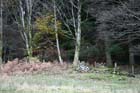 LakeDistrictNov2004054