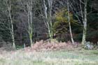 LakeDistrictNov2004055