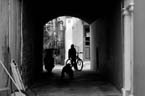 CRW_6200