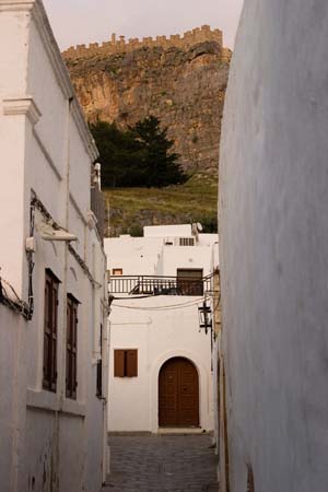 CRW_8334