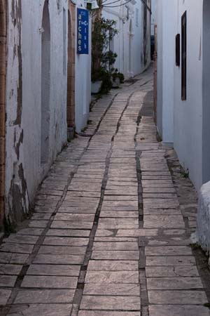 CRW_8341