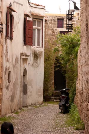CRW_8391