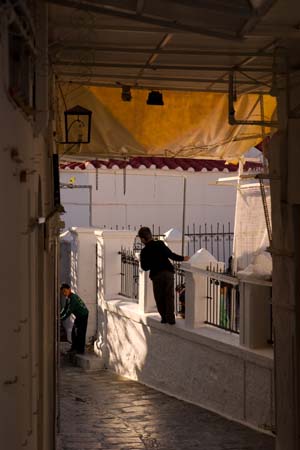 CRW_8431