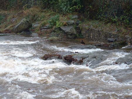Porlock2002-003