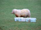 Porlock2002-088