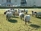 Porlock2002-101