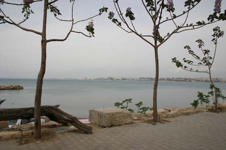 Side2005_009